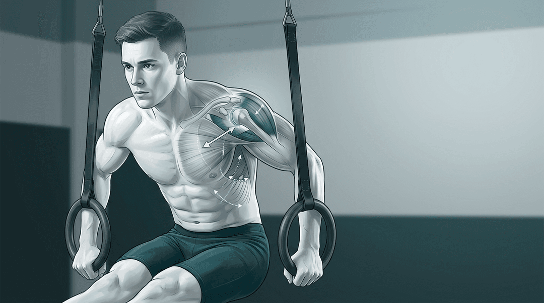 Illustrazione editoriale di un ginnasta agli anelli con focus biomeccanico sulla spalla destra